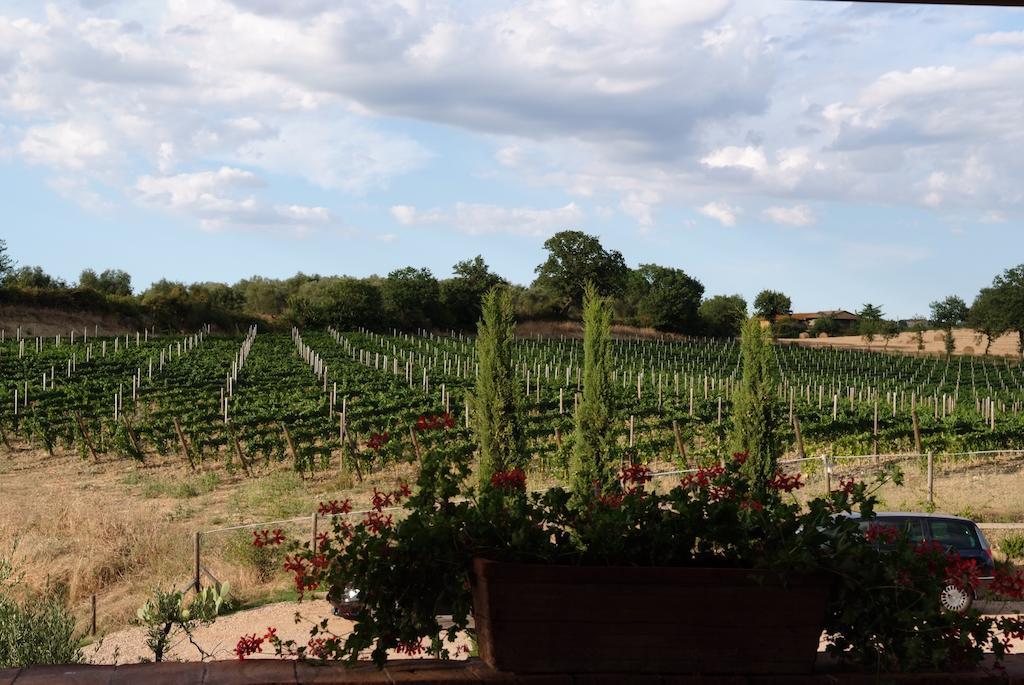 Podere Fingardella Guest House Paganico Bagian luar foto