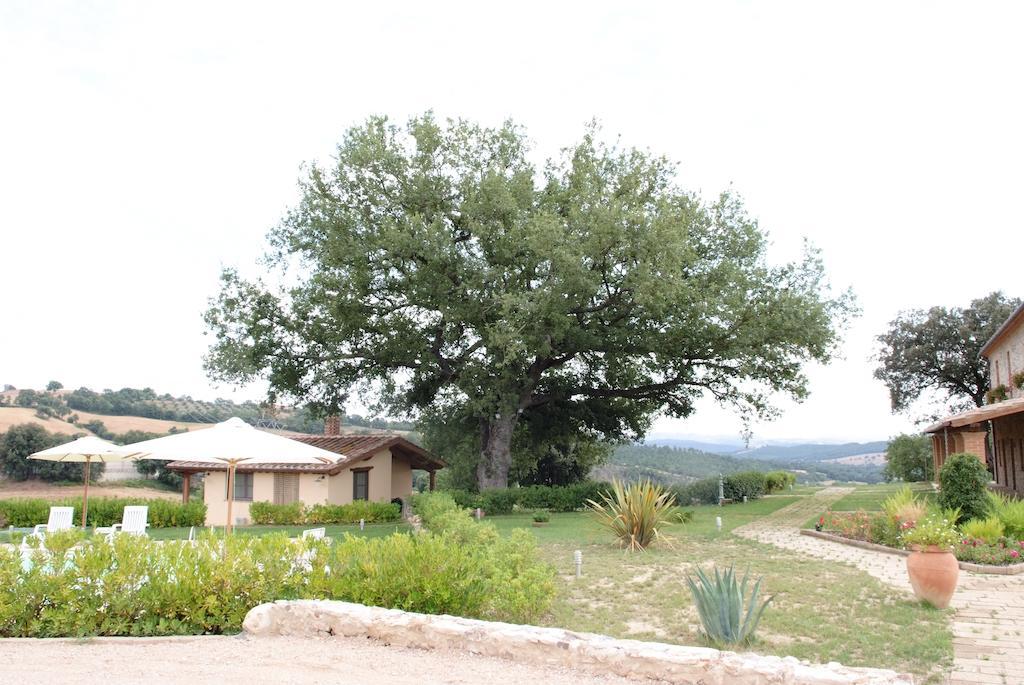 Podere Fingardella Guest House Paganico Bagian luar foto